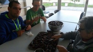 01997014bf4d06923fe58c04df58ce7216748216ae