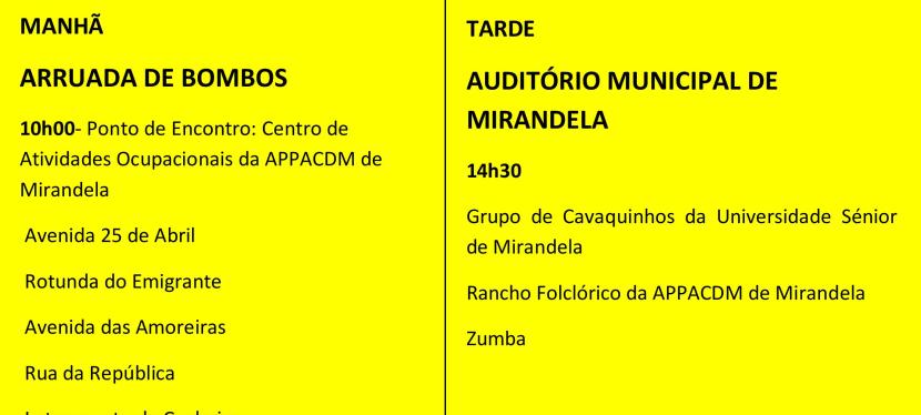 Comemorações do Dia Internacional da Pessoa com Deficiência em&nbsp;Mirandela