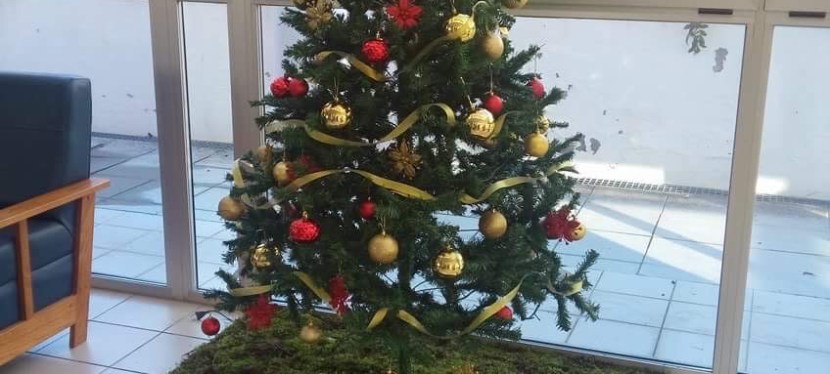 9 de Dezembro – Actividades da&nbsp;Semana