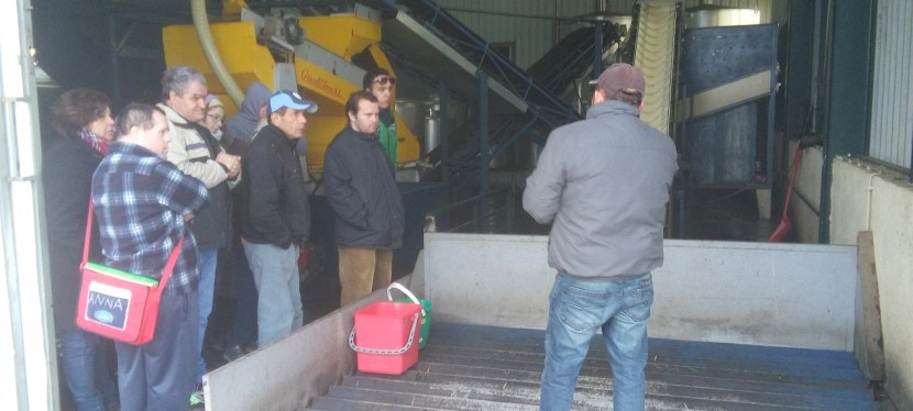 Visita ao Lagar “Casa de Santo&nbsp;Amaro”