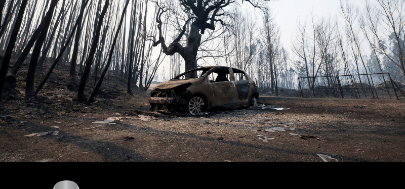 Mensagem APPACDM MIRANDELA